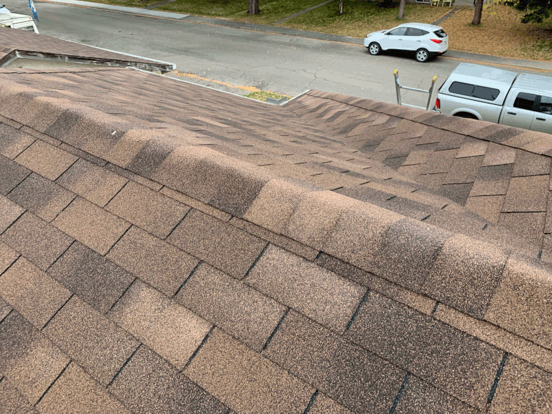 view from roof during home inspection